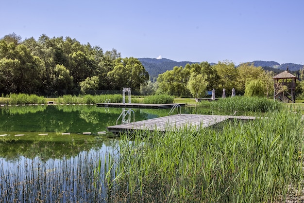 Free Photo beautiful scenery of a lake with the reflections of the trees in the countryside in slovenia