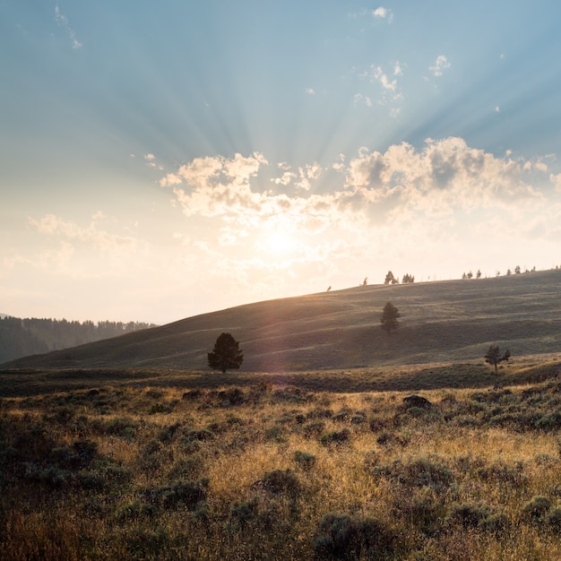 Beautiful scenery of a landscape in Yellowstone with mountains and the sunrise