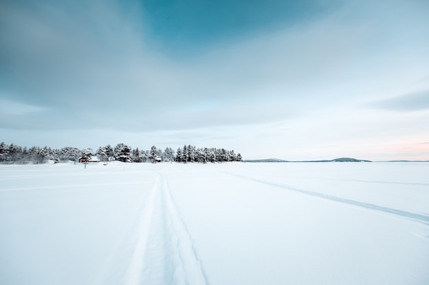 Free Photo beautiful scenery of a lot of leafless trees in a snow-covered land during sunset