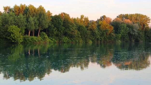 Beautiful scenery of a lot of trees reflected in the lake under the clear sky