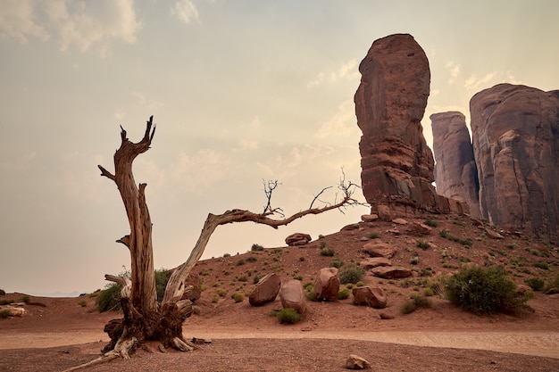 Free photo beautiful scenery of mesas landscape in bryce canyon national park, utah, usa