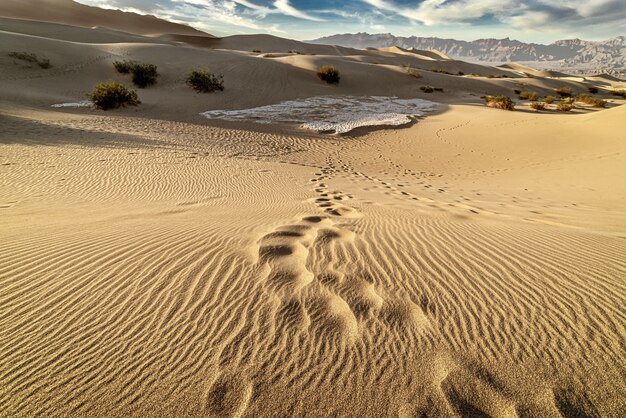 Beautiful scenery of the Mesquite Flat Sand Dunes, Death Valley, California