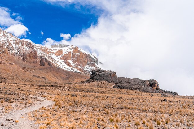 Beautiful scenery of a mountain landscape in the Kilimanjaro National Park