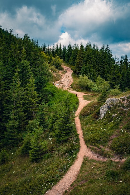 Free Photo beautiful scenery of a pathway on a hill surrounded by greenery under a cloudy sky