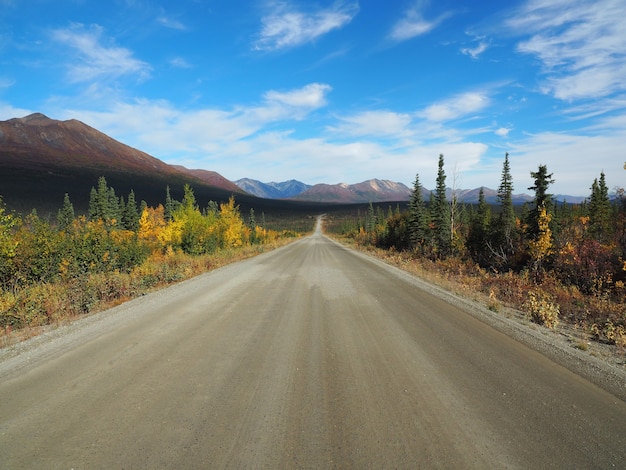 Beautiful scenery of a pathway surrounded by greenery with high rocky mountains in the background