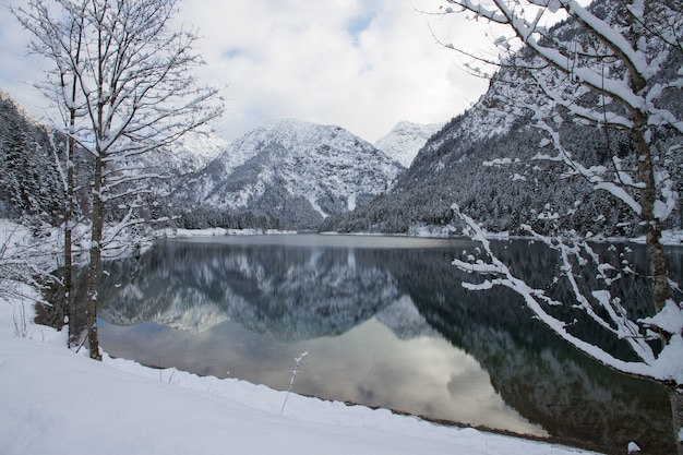 Free photo beautiful scenery of the plansee lake surrounded by high snowy mountains in heiterwang, austria