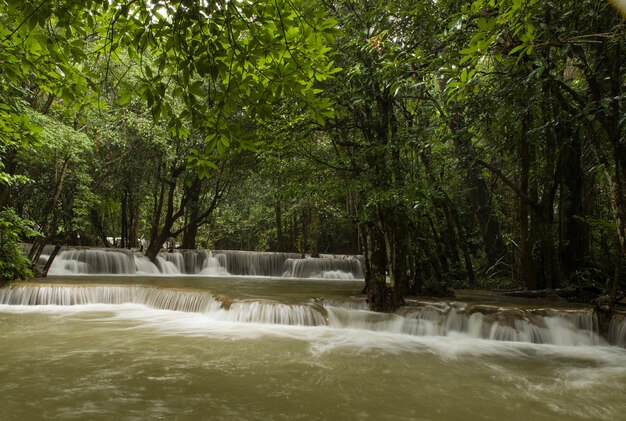 Beautiful scenery of a powerful waterfall flowing in a river in a forest