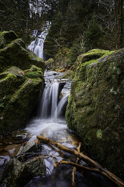 Free photo beautiful scenery of a powerful waterfall in a forest near mossy rock formations