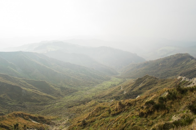 Free photo beautiful scenery of a range of green mountains enveloped in fog