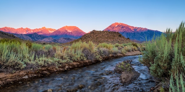 Free photo beautiful scenery of a river surrounded by bushes and mountains