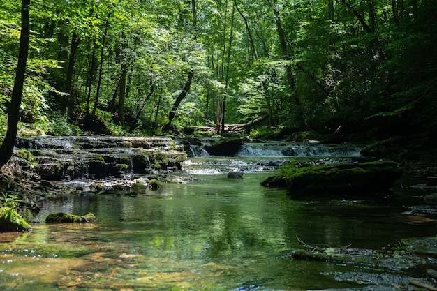 Beautiful scenery of a river surrounded by greenery during daytime