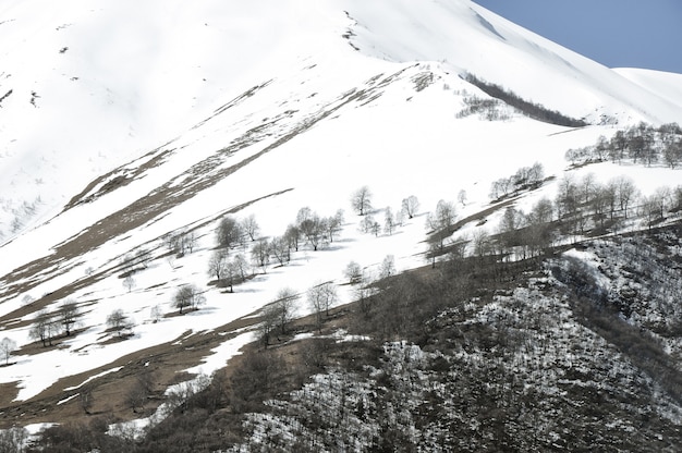 Beautiful scenery of the rocky and snowy mountains in the countryside