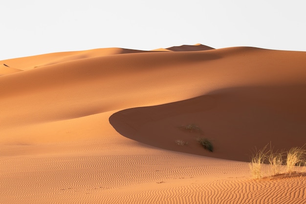 Beautiful scenery of sand dunes in a desert area on a sunny day