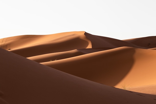 Beautiful scenery of sand dunes in a desert area on a sunny day