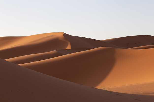 Beautiful scenery of sand dunes in a desert area on a sunny day