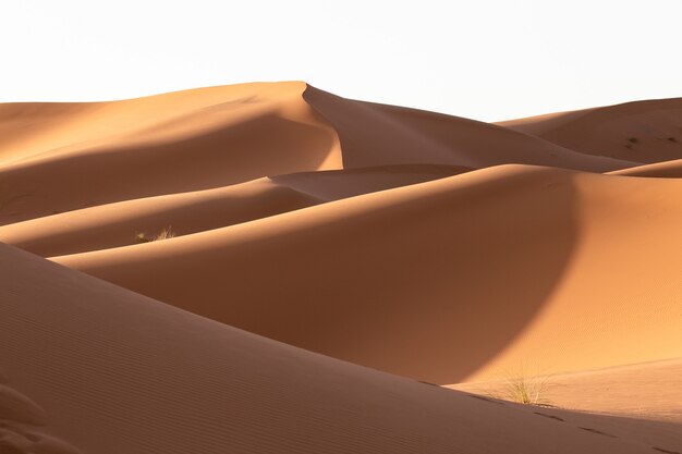 Beautiful scenery of sand dunes in a desert area on a sunny day