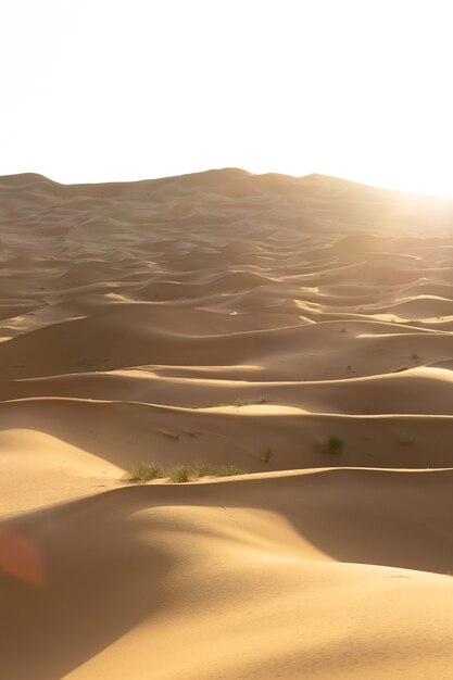 Beautiful scenery of sand dunes in a desert area on a sunny day