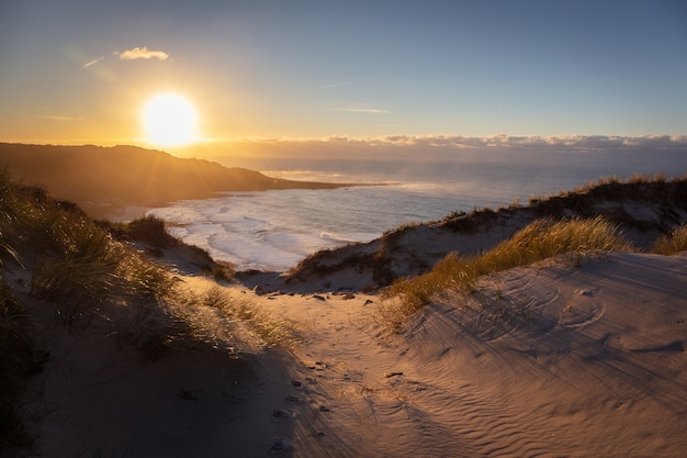 Free photo beautiful scenery of a sandy shore with a sea view