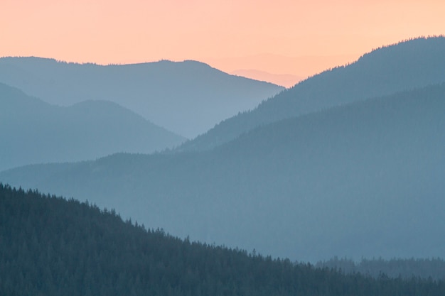 Beautiful scenery of sunset in the Mount Rainier National Park in the USA