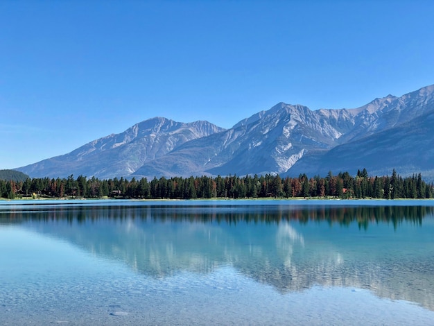 Free Photo beautiful scenery of trees and high snowy mountains reflecting in the clear lake