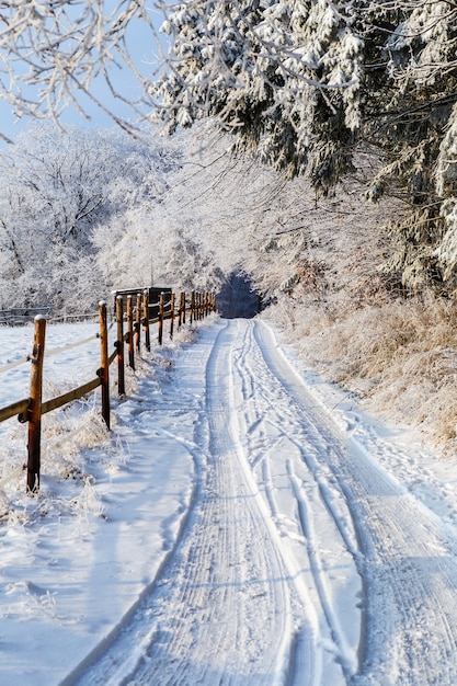 Free Photo beautiful scenery of a winter landscape with a wooden fence and thick trees