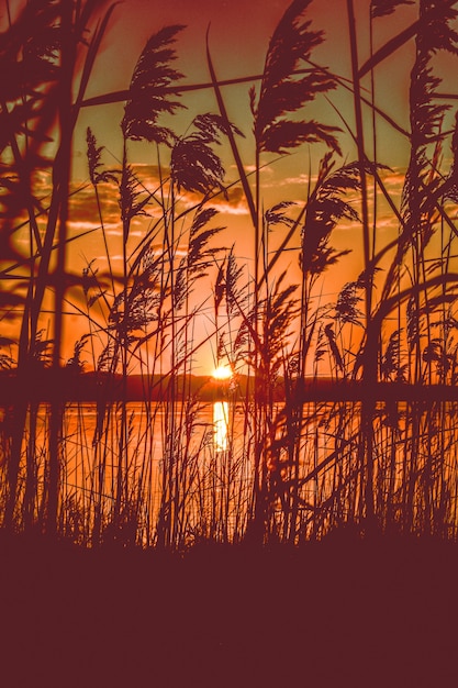 Free photo beautiful scenic view of the red sunset over a lake