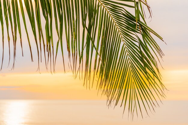 Beautiful sea ocean beach with palm tree at sunrise time for holiday