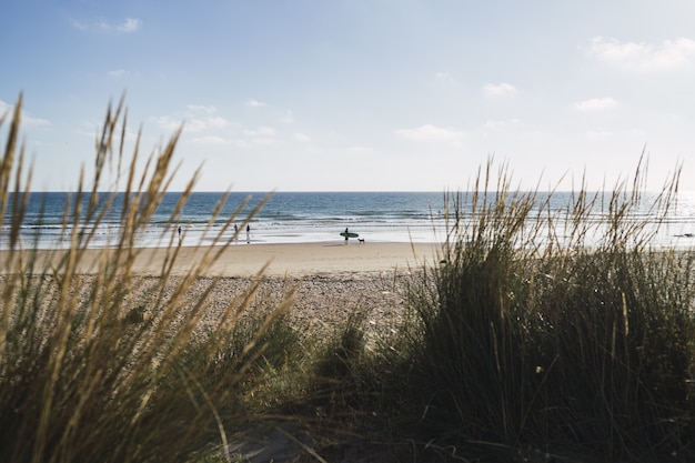 Free Photo beautiful seascape of the calm sea and the large coast in the evening