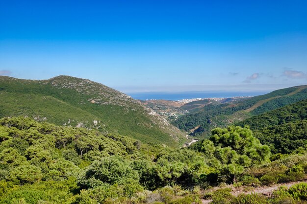 Beautiful shot of the amazing landscapes under the blue sky in summer