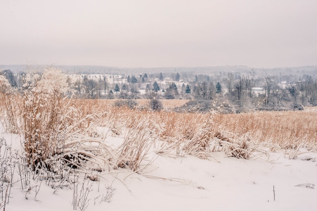 Beautiful shot of the amazing scenery of the snow-covered countryside in Pennsylvania