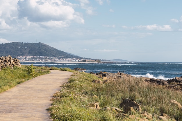 Free photo beautiful shot of a beach path