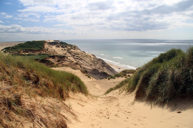 Free photo beautiful shot of beach shore under a cloudy sky