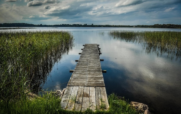 Beautiful shot of a berth surrounded by water grass