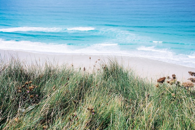 Free photo beautiful shot of the blue sea and a beach with sand and green grass