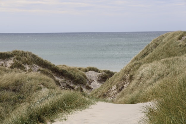 Free photo beautiful shot of blue sea with green hills in the foreground in kaersgaard beach denmark