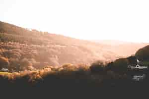 Free photo beautiful shot of brown trees and greenery on hills and mountains in the countryside at sunset