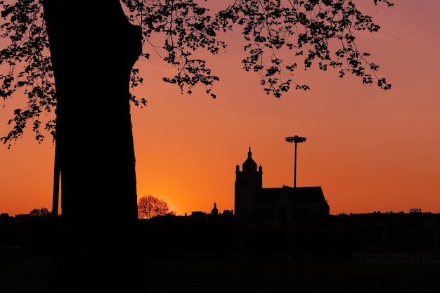 Beautiful shot of building and tree silhouettes during sunset