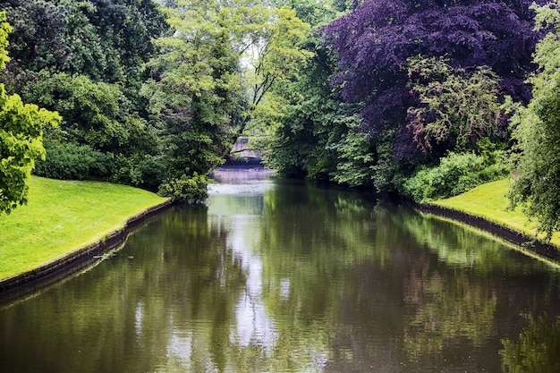 Free Photo beautiful shot of a canal with trees reflected on the water