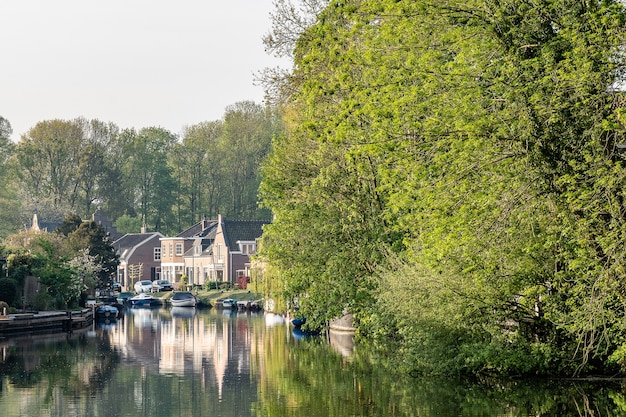 Beautiful shot of a clear river surrounded with houses and trees