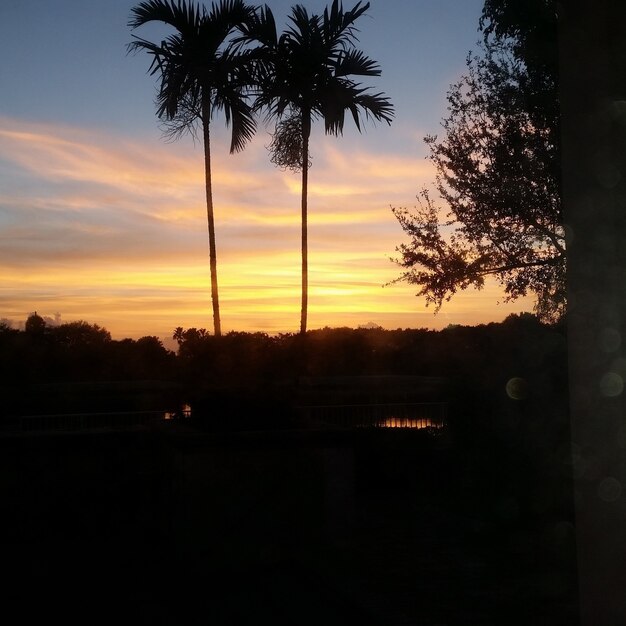 Beautiful shot of a cloudy sunset on by a silhouetted field with bushes and trees