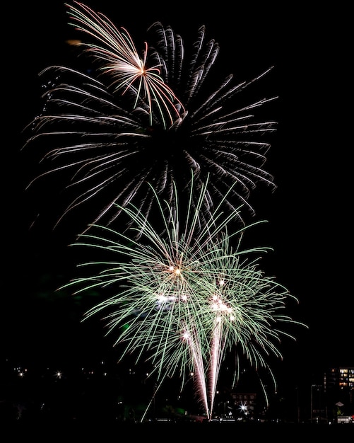 Beautiful shot of colorful fireworks in the night sky during holidays