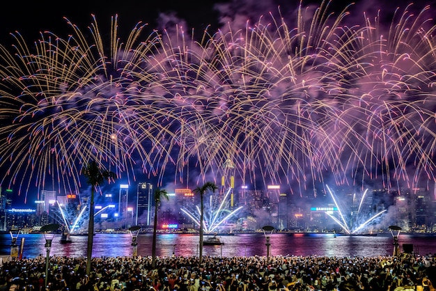 Beautiful shot of colorful vibrant fireworks in the night sky during holidays