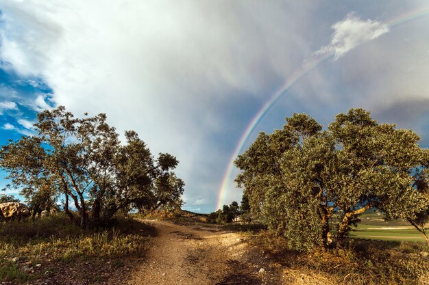 Beautiful shot of the countryside in Spain