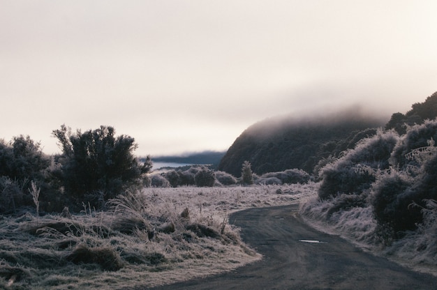 Free Photo beautiful shot of a curvy pathway surrounded by hills and frosted grass covered with fog