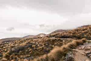 Free photo beautiful shot of a dry desert hill with mountains