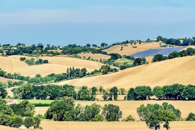 Free Photo beautiful shot of dry grass hills with trees under a blue sky in umbria, italy