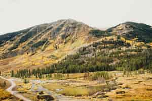 Free photo beautiful shot of dry grassy field with ponds near forested mountain under a cloudy sky