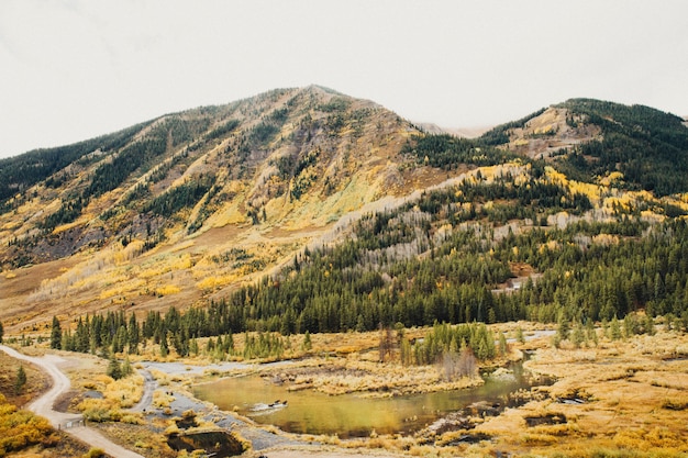 Beautiful shot of dry grassy field with ponds near forested mountain under a cloudy sky