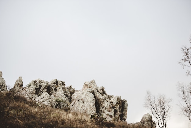 Free Photo beautiful shot of a dry grassy hill with rocks and leafless trees under a cloudy sky