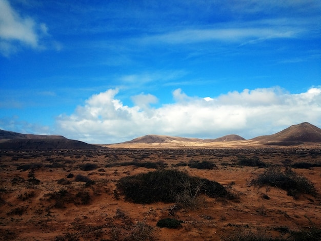 Beautiful shot of drylands and bushes in Corralejo Natural Park, Spain